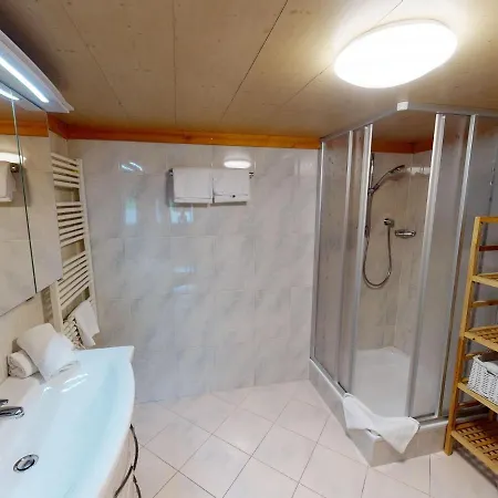 In Wildkogel Near Slopes *