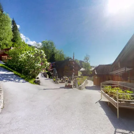In Wildkogel Near Slopes Apartament *