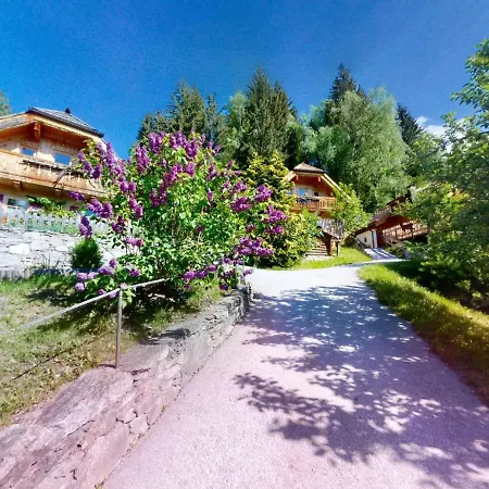 In Wildkogel Near Slopes Apartment Neukirchen am Grossvenediger