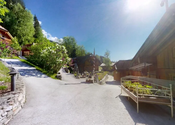 In Wildkogel Near Slopes 公寓 *