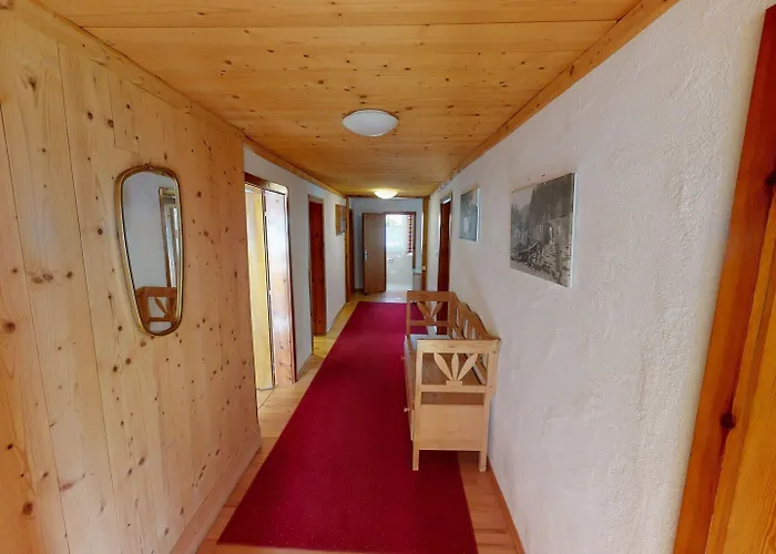 公寓 In Wildkogel Near Slopes *